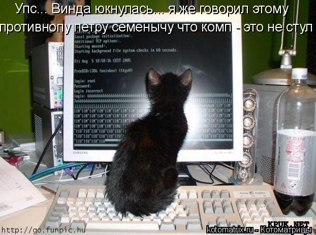 Упс... Винда юкнулась... я же говорил этому противнопу петру семенычу что комп - это не стул... Котоматрица: Упс... Винда юкнулась... я же говорил этому противнопу петру семенычу что комп - это не стул
