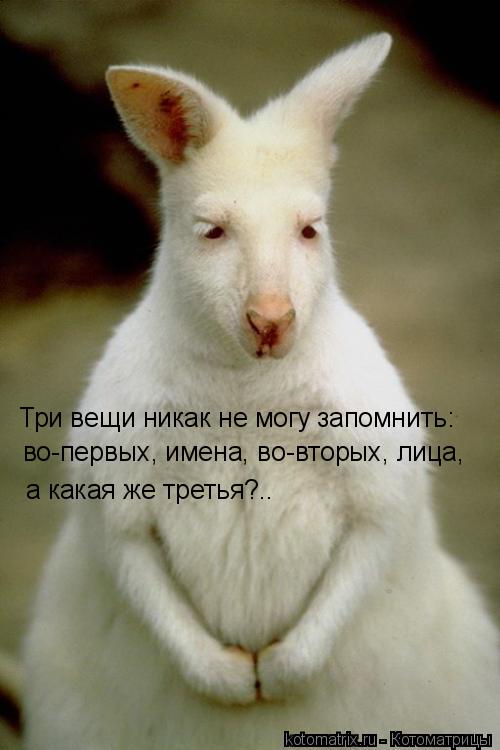 Три вещи никак не могу запомнить: во-первых, имена, во-вторых, лица, а какая же третья?..... Котоматрица: Три вещи никак не могу запомнить: во-первых, имена, во-вторых, лица, а какая же третья?..