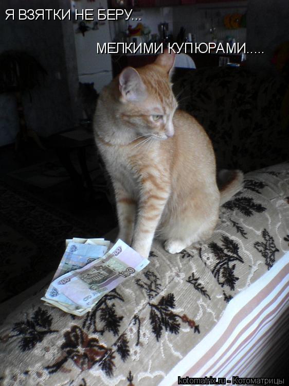 Я ВЗЯТКИ НЕ БЕРУ... МЕЛКИМИ КУПЮРАМИ........ Котоматрица: Я ВЗЯТКИ НЕ БЕРУ... МЕЛКИМИ КУПЮРАМИ.....