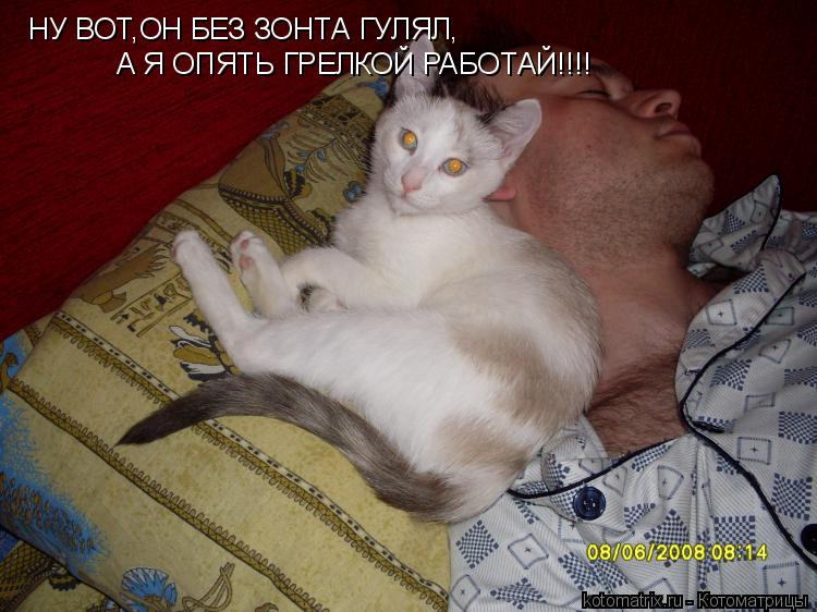 НУ ВОТ,ОН БЕЗ ЗОНТА ГУЛЯЛ, А Я ОПЯТЬ ГРЕЛКОЙ РАБОТАЙ!!!!... Котоматрица: НУ ВОТ,ОН БЕЗ ЗОНТА ГУЛЯЛ, А Я ОПЯТЬ ГРЕЛКОЙ РАБОТАЙ!!!!