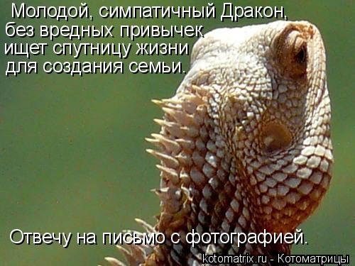 Молодой, симпатичный Дракон, без вредных привычек ищет спутницу жизни для создания семьи. Отвечу на ... Котоматрица: Молодой, симпатичный Дракон, без вредных привычек ищет спутницу жизни для создания семьи. Отвечу на письмо с фотографией.