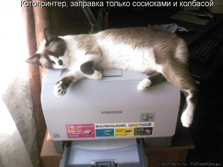 Котопринтер, заправка только сосисками и колбасой... Котоматрица: Котопринтер, заправка только сосисками и колбасой