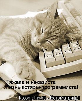 Тяжела и неказиста Жизнь котяры-программиста!... Котоматрица: Тяжела и неказиста Жизнь котяры-программиста!