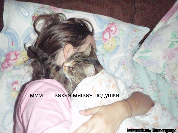 ммм...... какая мягкая подушка........ Котоматрица: ммм...... какая мягкая подушка.....