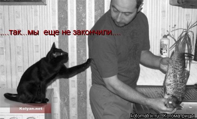 ....так...мы еще не закончили....... Котоматрица: ....так...мы еще не закончили....