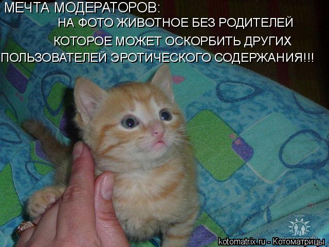 МЕЧТА МОДЕРАТОРОВ: НА ФОТО ЖИВОТНОЕ БЕЗ РОДИТЕЛЕЙ КОТОРОЕ МОЖЕТ ОСКОРБИТЬ ДРУГИХ ПОЛЬЗОВАТЕЛЕЙ ЭРОТИЧ... Котоматрица: МЕЧТА МОДЕРАТОРОВ: НА ФОТО ЖИВОТНОЕ БЕЗ РОДИТЕЛЕЙ КОТОРОЕ МОЖЕТ ОСКОРБИТЬ ДРУГИХ ПОЛЬЗОВАТЕЛЕЙ ЭРОТИЧЕСКОГО СОДЕРЖАНИЯ!!!