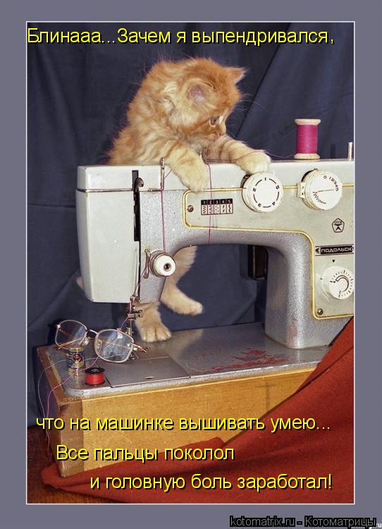 Блинааа...Зачем я выпендривался что на машинке вышивать умею... , и головную боль заработал! Все паль... Котоматрица: Блинааа...Зачем я выпендривался что на машинке вышивать умею... , и головную боль заработал! Все пальцы поколол