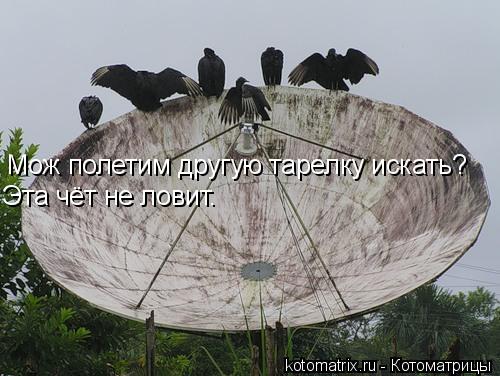 Мож полетим другую тарелку искать? Эта чёт не ловит.... Котоматрица: Мож полетим другую тарелку искать? Эта чёт не ловит.
