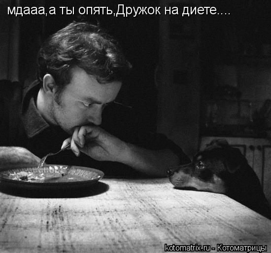 мдааа,а ты опять,Дружок на диете....... Котоматрица: мдааа,а ты опять,Дружок на диете....