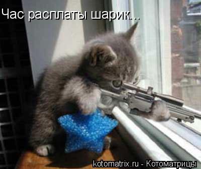 Час расплаты шарик...... Котоматрица: Час расплаты шарик...