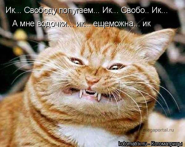 Ик... Свободу попугаем... Ик... Свобо.. Ик... А мне водочки... ик... ещеможна... ик... Котоматрица: Ик... Свободу попугаем... Ик... Свобо.. Ик... А мне водочки... ик... ещеможна... ик