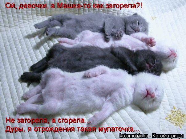 Ой, девочки, а Машка-то как загорела?! Не загорела, а сгорела... Дуры, я отрождения такая мулаточка..... Котоматрица: Ой, девочки, а Машка-то как загорела?! Не загорела, а сгорела... Дуры, я отрождения такая мулаточка...