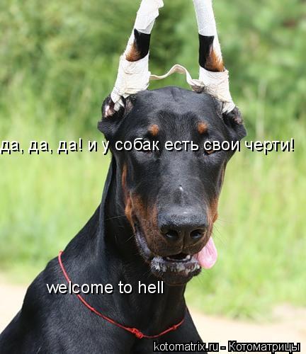 да, да, да! и у собак есть свои черти! welcome to hell... Котоматрица: да, да, да! и у собак есть свои черти! welcome to hell