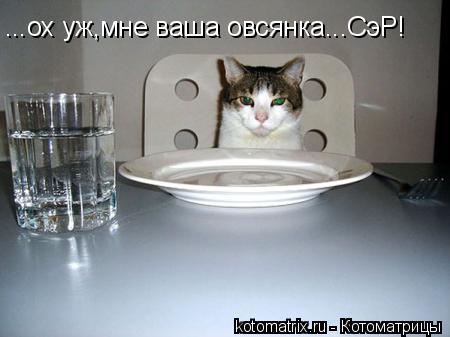 ...ох уж,мне ваша овсянка...СэР!... Котоматрица: ...ох уж,мне ваша овсянка...СэР!