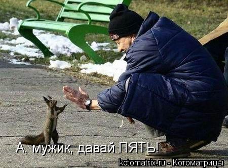 А, мужик, давай ПЯТЬ!... Котоматрица: А, мужик, давай ПЯТЬ!