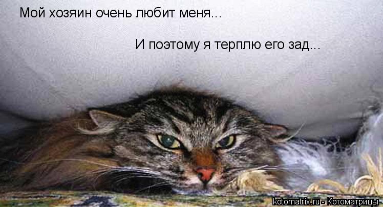 Мой хозяин очень любит меня... И поэтому я терплю его зад...... Котоматрица: Мой хозяин очень любит меня... И поэтому я терплю его зад...