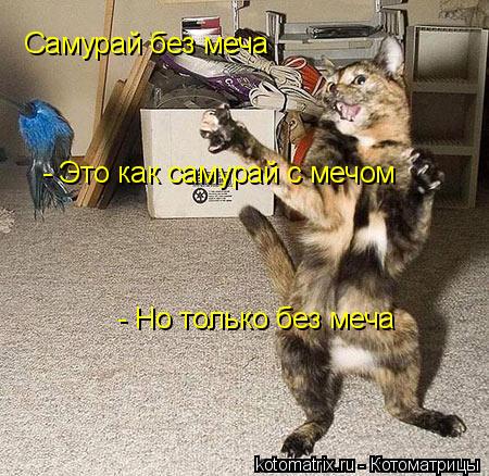 Самурай без меча - Это как самурай с мечом - Но только без меча... Котоматрица: Самурай без меча - Это как самурай с мечом - Но только без меча