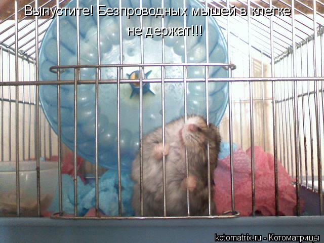 Выпустите! Безпроводных мышей в клетке не держат!!!... Котоматрица: Выпустите! Безпроводных мышей в клетке не держат!!!