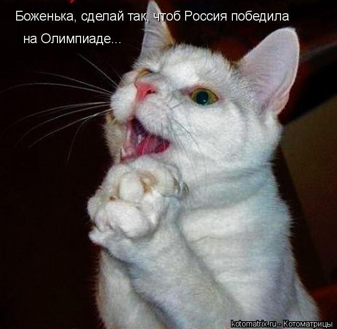 Боженька, сделай так, чтоб Россия победила на Олимпиаде...... Котоматрица: Боженька, сделай так, чтоб Россия победила на Олимпиаде...