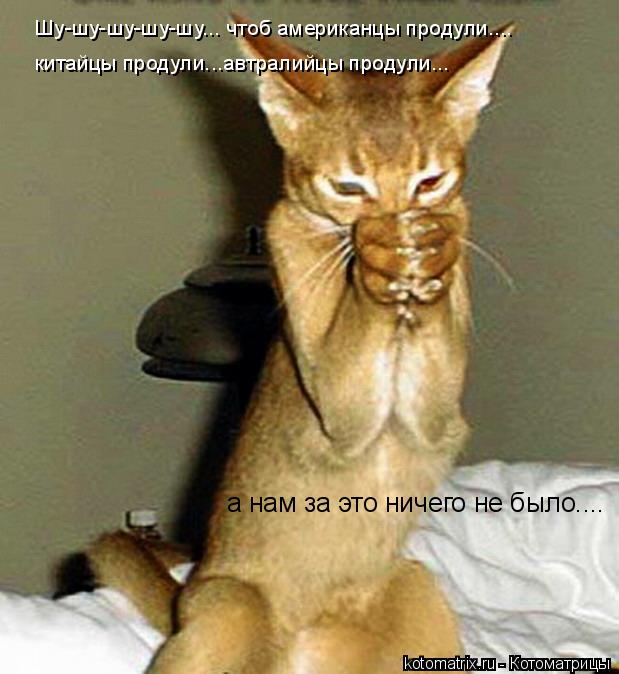 Шу-шу-шу-шу-шу... чтоб американцы продули.... китайцы продули...автралийцы продули... а нам за это ни... Котоматрица: Шу-шу-шу-шу-шу... чтоб американцы продули.... китайцы продули...автралийцы продули... а нам за это ничего не было....