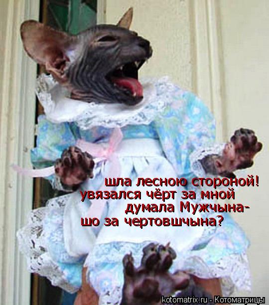 шла лесною стороной! увязался чёрт за мной думала Мужчына- шо за чертовшчына?... Котоматрица: шла лесною стороной! увязался чёрт за мной думала Мужчына- шо за чертовшчына?