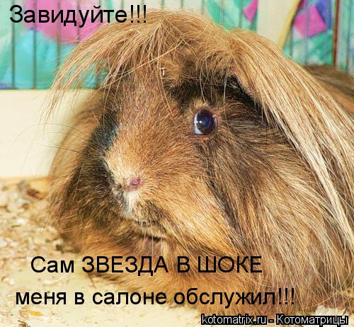Завидуйте!!! Сам ЗВЕЗДА В ШОКЕ меня в салоне обслужил!!!... Котоматрица: Завидуйте!!! Сам ЗВЕЗДА В ШОКЕ меня в салоне обслужил!!!