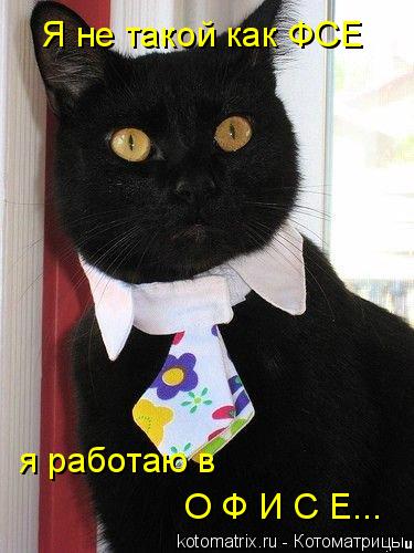 Я не такой как ФСЕ я работаю в О Ф И С Е...... Котоматрица: Я не такой как ФСЕ я работаю в О Ф И С Е...