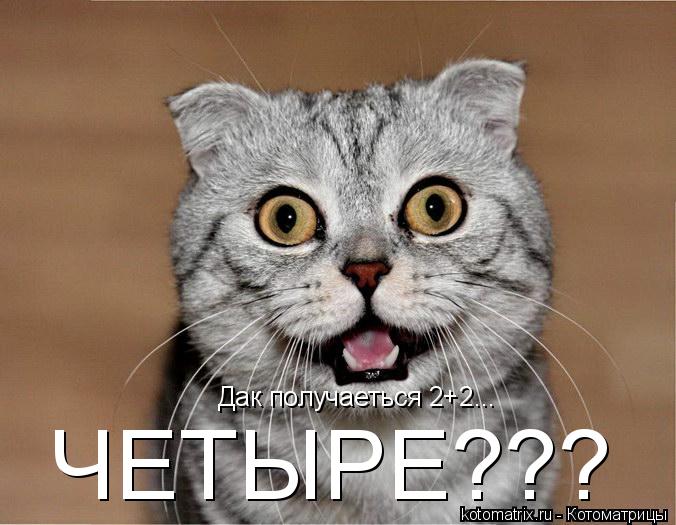 Дак получаеться 2+2... ЧЕТЫРЕ???... Котоматрица: Дак получаеться 2+2... ЧЕТЫРЕ???