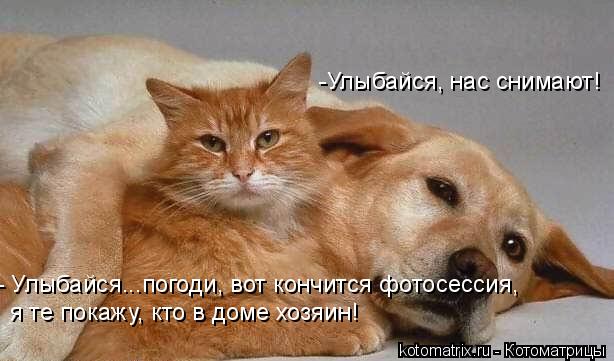 я те покажу, кто в доме хозяин! - Улыбайся...погоди, вот кончится фотосессия, -Улыбайся, нас снимают... Котоматрица: я те покажу, кто в доме хозяин! - Улыбайся...погоди, вот кончится фотосессия, -Улыбайся, нас снимают!