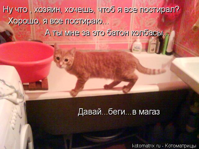 Ну что , хозяин, хочешь, чтоб я все постирал? Хорошо, я все постираю... Давай...беги...в магаз А ты м... Котоматрица: Ну что , хозяин, хочешь, чтоб я все постирал? Хорошо, я все постираю... Давай...беги...в магаз А ты мне за это батон колбасы...