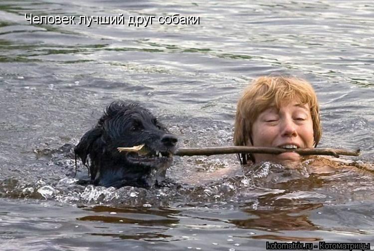Человек лучший друг собаки... Котоматрица: Человек лучший друг собаки
