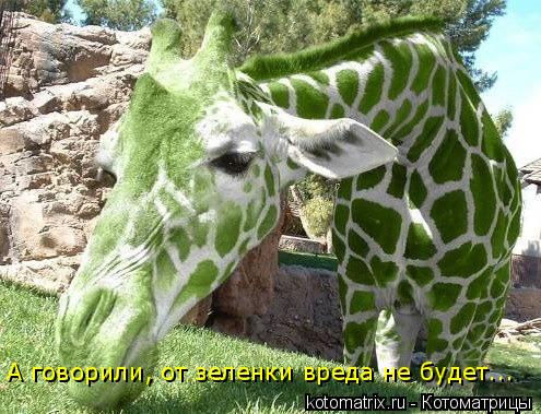А говорили, от зеленки вреда не будет...... Котоматрица: А говорили, от зеленки вреда не будет...