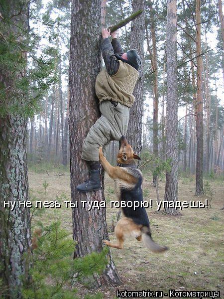 ну не лезь ты туда говорю! упадешь!... Котоматрица: ну не лезь ты туда говорю! упадешь!