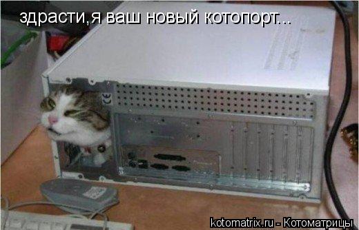 здрасти,я ваш новый котопорт... здрасти,я ваш новый котопорт...... Котоматрица: здрасти,я ваш новый котопорт... здрасти,я ваш новый котопорт...