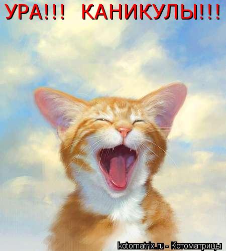 УРА!!! КАНИКУЛЫ!!!... Котоматрица: УРА!!! КАНИКУЛЫ!!!