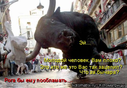 Молодой человек, Вам плохо? Это хто же это Вас так зацепил? Что за бычара? Рога бы ему пообламать....... Котоматрица: Молодой человек, Вам плохо? Это хто же это Вас так зацепил? Что за бычара? Рога бы ему пообламать.... Эй...