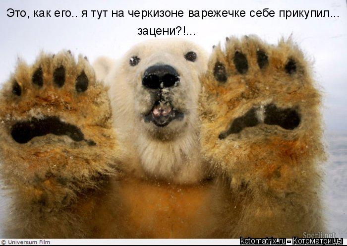 Это, как его.. я тут на черкизоне варежечке себе прикупил... зацени?!...... Котоматрица: Это, как его.. я тут на черкизоне варежечке себе прикупил... зацени?!...
