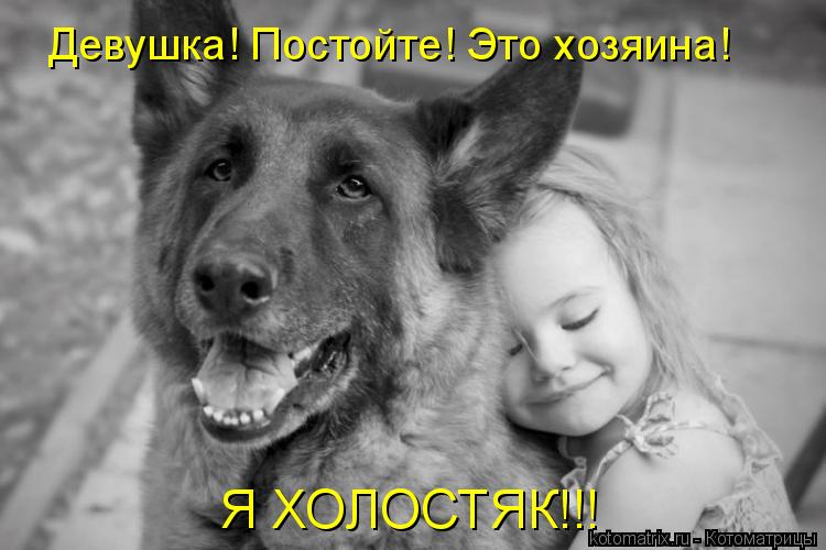 Девушка! Постойте! Это хозяина! Я ХОЛОСТЯК!!!... Котоматрица: Девушка! Постойте! Это хозяина! Я ХОЛОСТЯК!!!