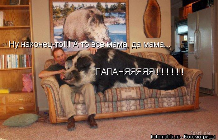 ПАПАНЯЯЯЯЯ!!!!!!!!!!!! Ну наконец-то!!! А то все мама, да мама...... Котоматрица: ПАПАНЯЯЯЯЯ!!!!!!!!!!!! Ну наконец-то!!! А то все мама, да мама...