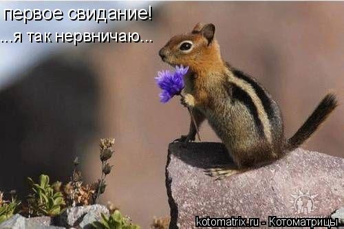 первое свидание! ...я так нервничаю...... Котоматрица: первое свидание! ...я так нервничаю...