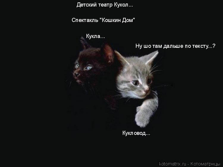 Ну шо там дальше по тексту...? Кукловод... Кукла... Детский театр Кукол... Спектакль "Кошкин Дом"... Котоматрица: Ну шо там дальше по тексту...? Кукловод... Кукла... Детский театр Кукол... Спектакль "Кошкин Дом"