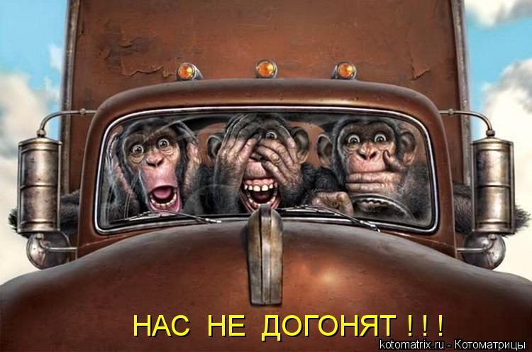 НАС НЕ ДОГОНЯТ ! ! !... Котоматрица: НАС НЕ ДОГОНЯТ ! ! !