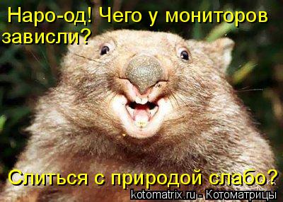 Наро-од! Чего у мониторов зависли? Слиться с природой слабо?... Котоматрица: Наро-од! Чего у мониторов зависли? Слиться с природой слабо?
