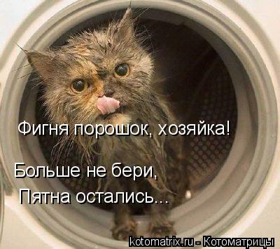 Фигня порошок, хозяйка! Больше не бери, Пятна остались...... Котоматрица: Фигня порошок, хозяйка! Больше не бери, Пятна остались...