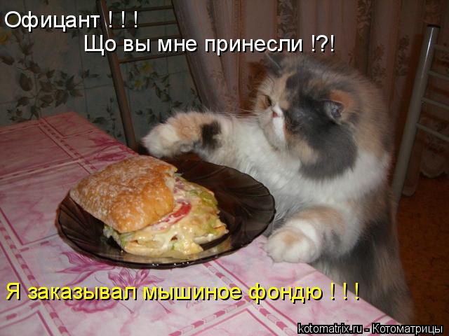 Що вы мне принесли !?! Офицант ! ! ! Я заказывал мышиное фондю ! ! !... Котоматрица: Що вы мне принесли !?! Офицант ! ! ! Я заказывал мышиное фондю ! ! !