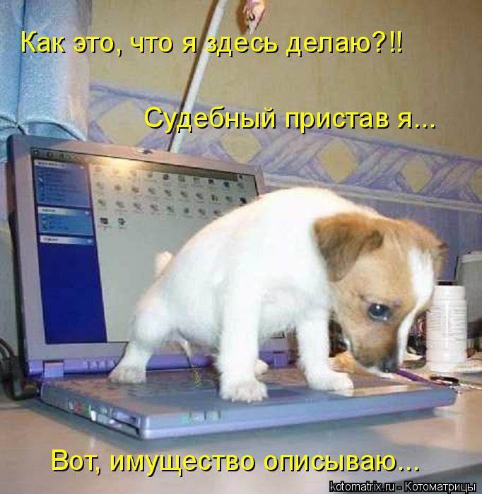 Как это, что я здесь делаю?!! Судебный пристав я... Вот, имущество описываю...... Котоматрица: Как это, что я здесь делаю?!! Судебный пристав я... Вот, имущество описываю...