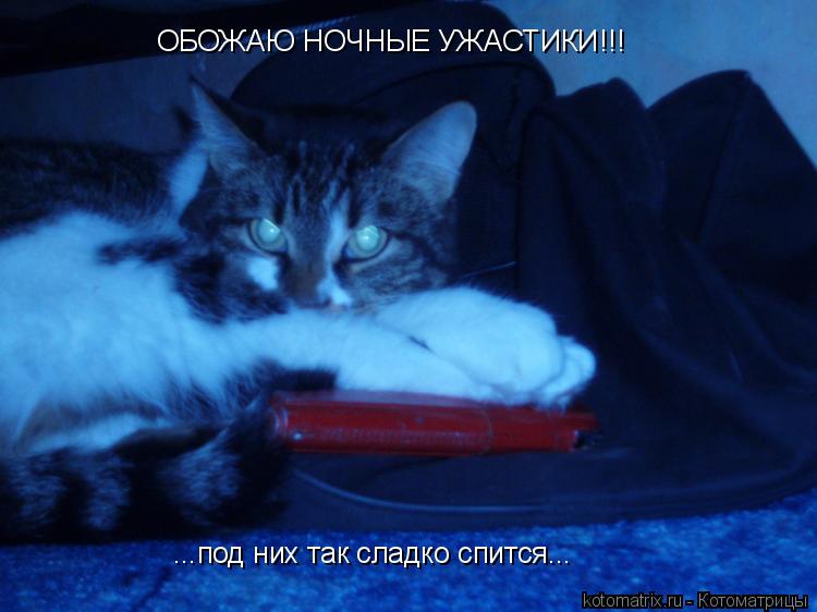 ОБОЖАЮ НОЧНЫЕ УЖАСТИКИ!!! ...под них так сладко спится...... Котоматрица: ОБОЖАЮ НОЧНЫЕ УЖАСТИКИ!!! ...под них так сладко спится...