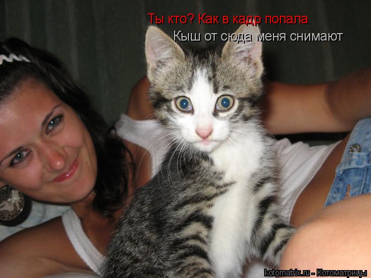 Ты кто? Как в кадр попала Кыш от сюда меня снимают... Котоматрица: Ты кто? Как в кадр попала Кыш от сюда меня снимают