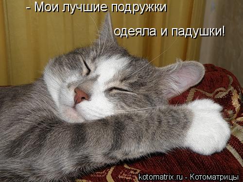 Котоматрица: - Мои лучшие подружки одеяла и падушки!