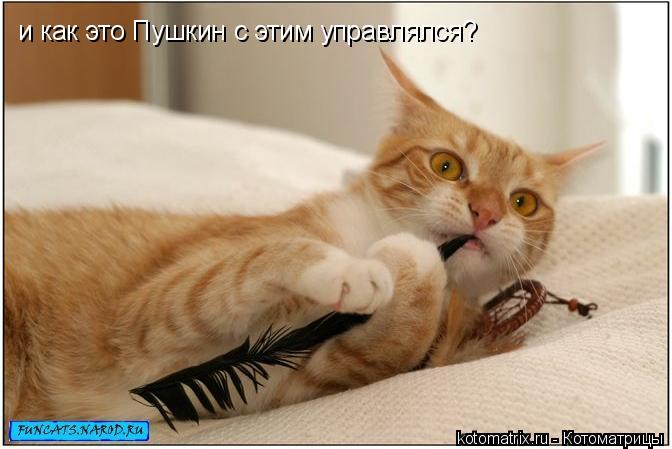 и как это Пушкин с этим управлялся?... Котоматрица: и как это Пушкин с этим управлялся?